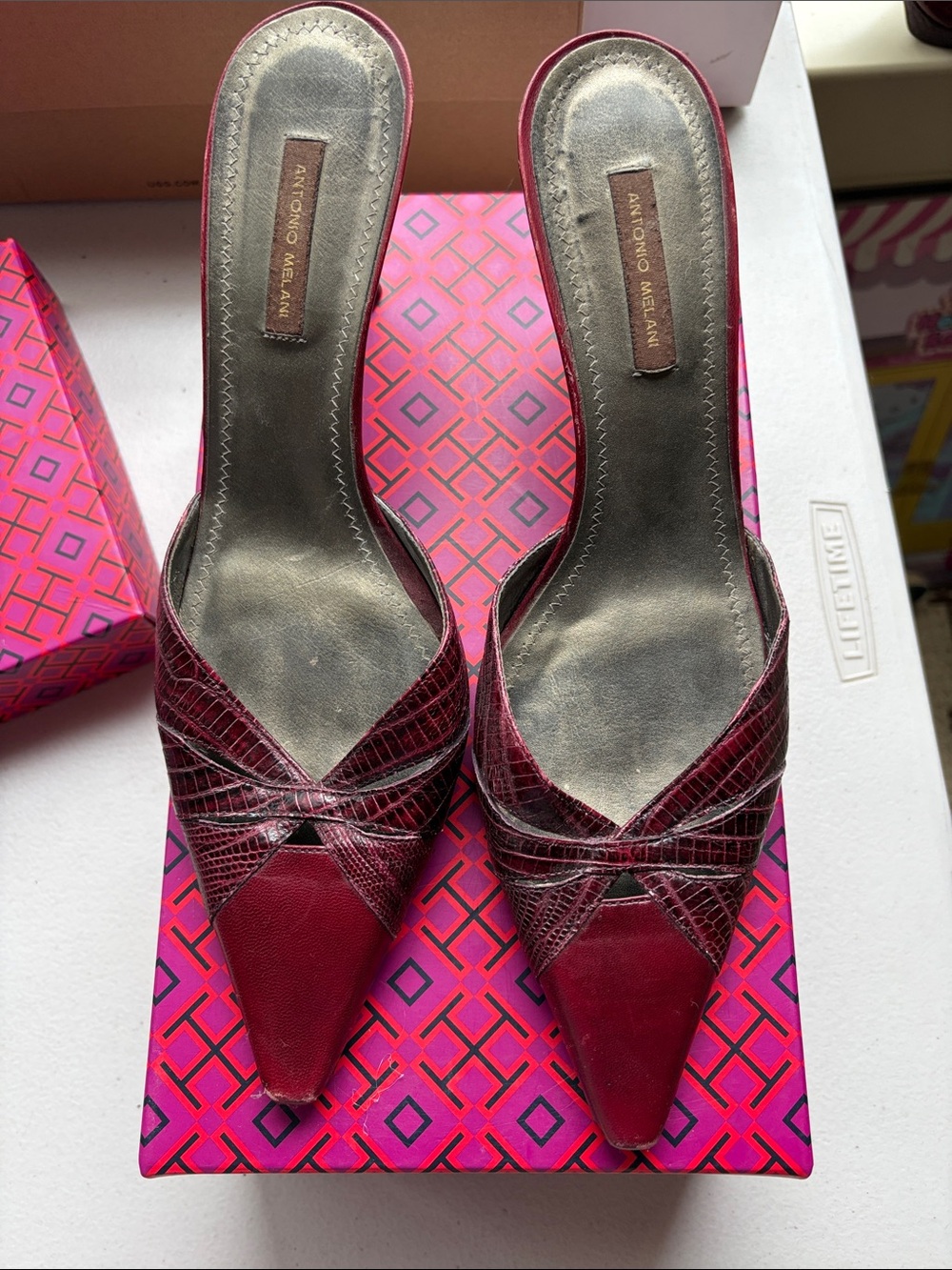 ANTONIO MELANI Wine Pointed-Toe Slip-On Mules